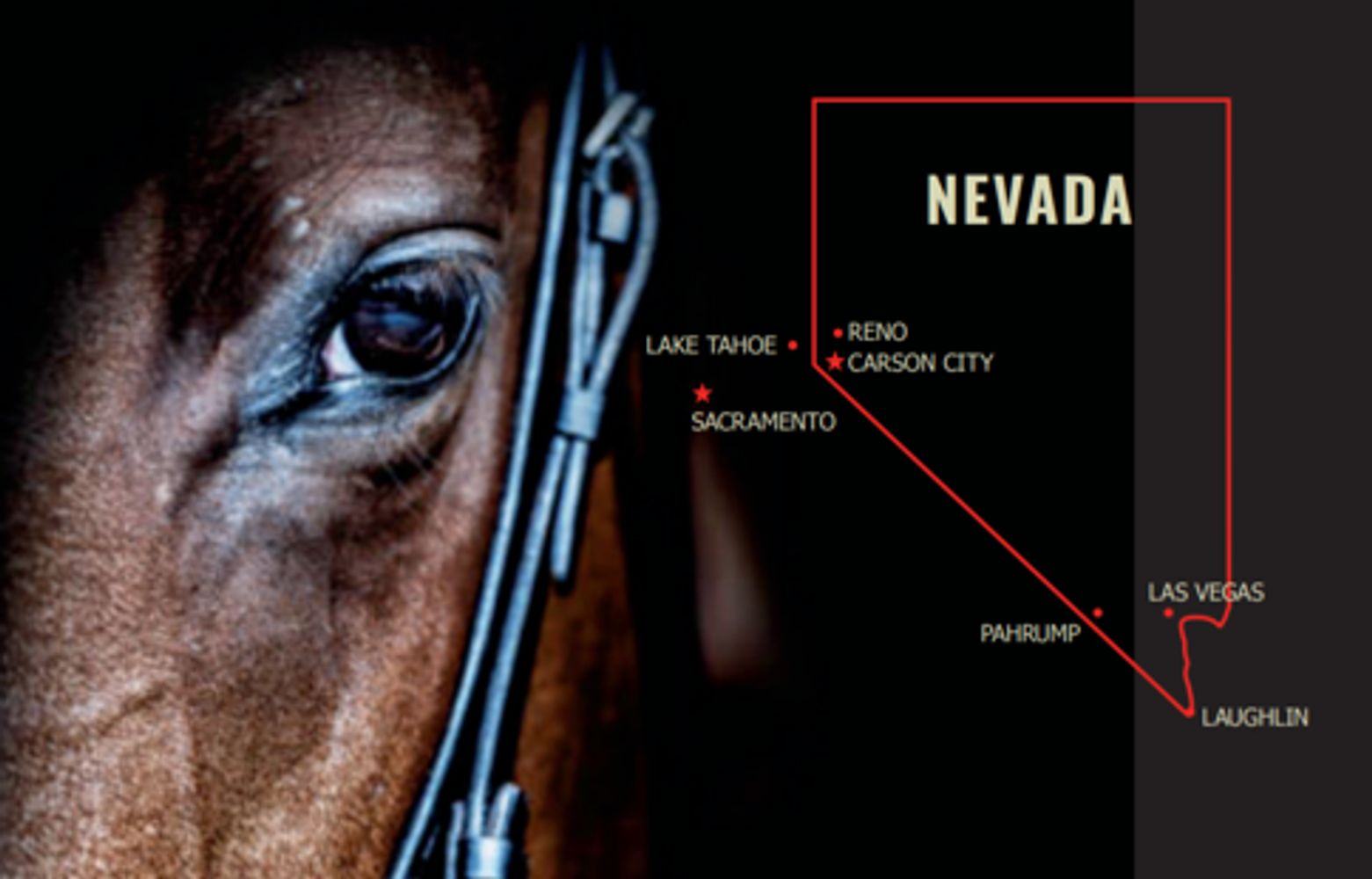 Eye on Nevada