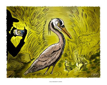 "Blue Heron's Frog Hunt", Pen & ink w/ digital color.