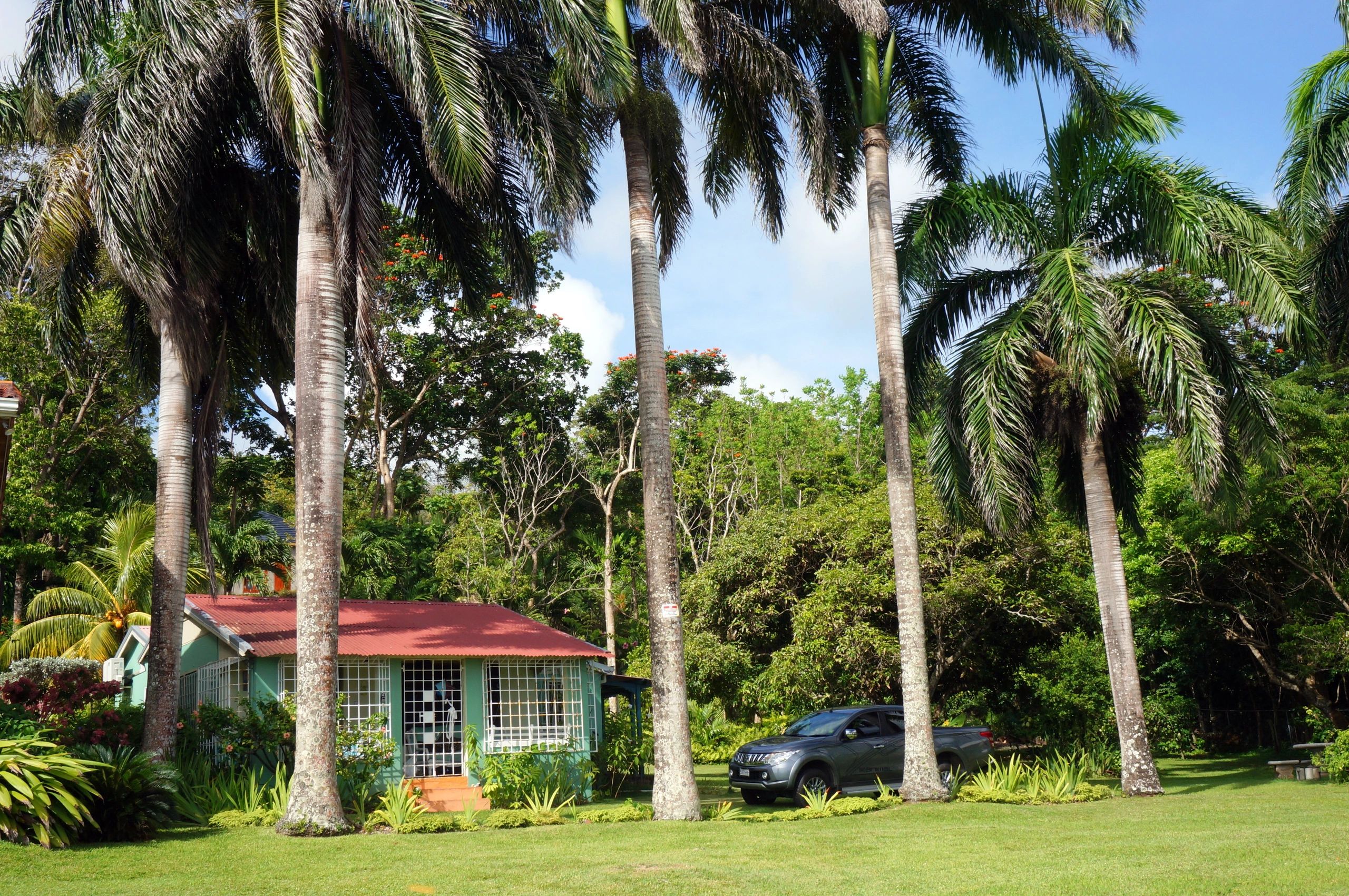 Boscobel Jamaica Vacation Rentals