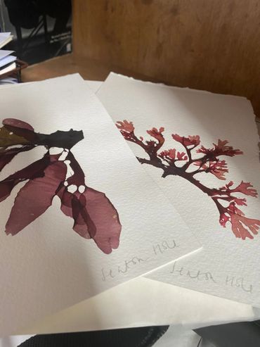 Watercolor paintings of red and purple leaves on textured paper.