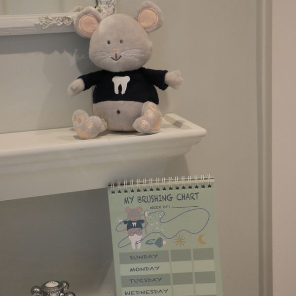 Flossy the Mouse stuffed animal and My Brushing Chart