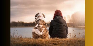 Showing both the owner and their dog understanding each other peacefully.
