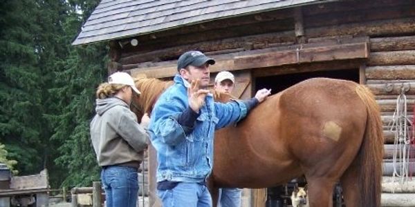 Doctor Robinson, of Alpine Veterinary Service Communicates with the heart of a teacher.  Lameness on a horse at Mountain Sky Ranch, Montana. 