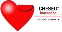 Chesed Foundation Rescue