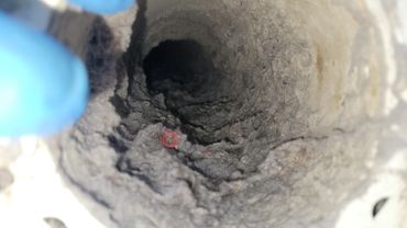Clogged Dryer Vent Line(Fire Danger)