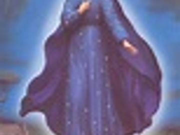 image of the immaculate Mother