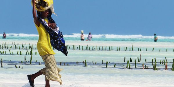 I have had the blessed privilege to travel and document with my camera over 80 Countries, 100’s of c