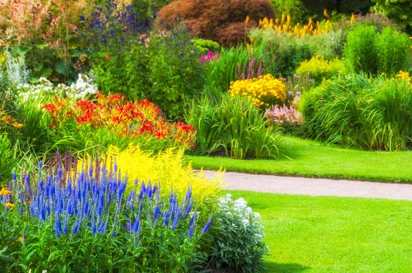 This image showcases a vibrant and well-maintained garden, bursting with color and diverse