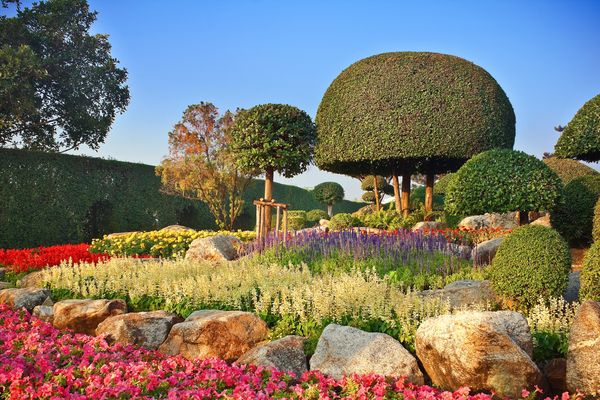 This image showcases a meticulously manicured and vibrantly colorful garden