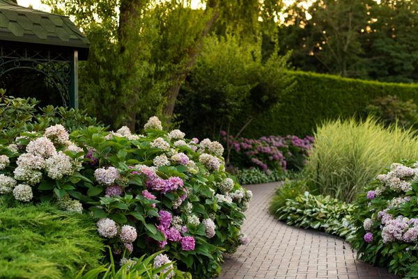 This image captures a picturesque garden scene, likely in the late afternoon or early evening.