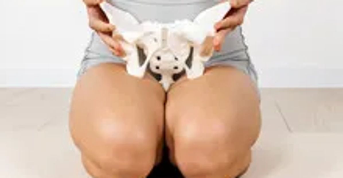 Woman kneeling holding bony pelvis.