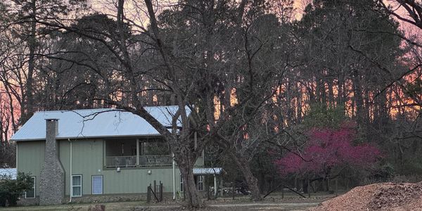 Country house at sunset with leafless trees and a pink blossoming tree.
