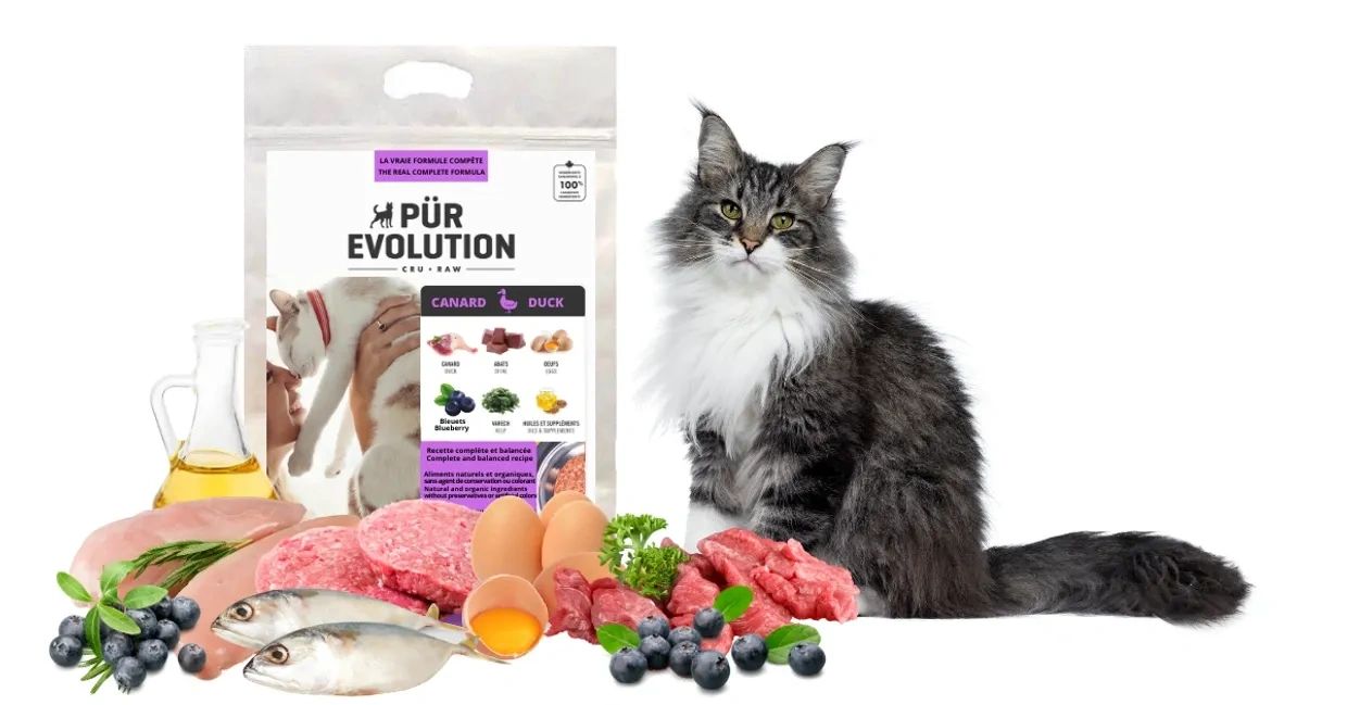 purevolution pour chat canard