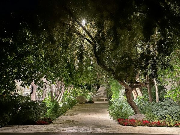 ELDORADO CC- LANDSCAPE LIGHTING DESIGN/INSTALL