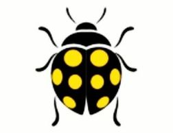 Custom Gifts by Patrice Jenkins
www.sassyladybug.com
757-681-9601