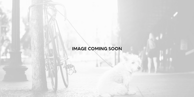 Small dog tied to a bicycle on a city sidewalk.