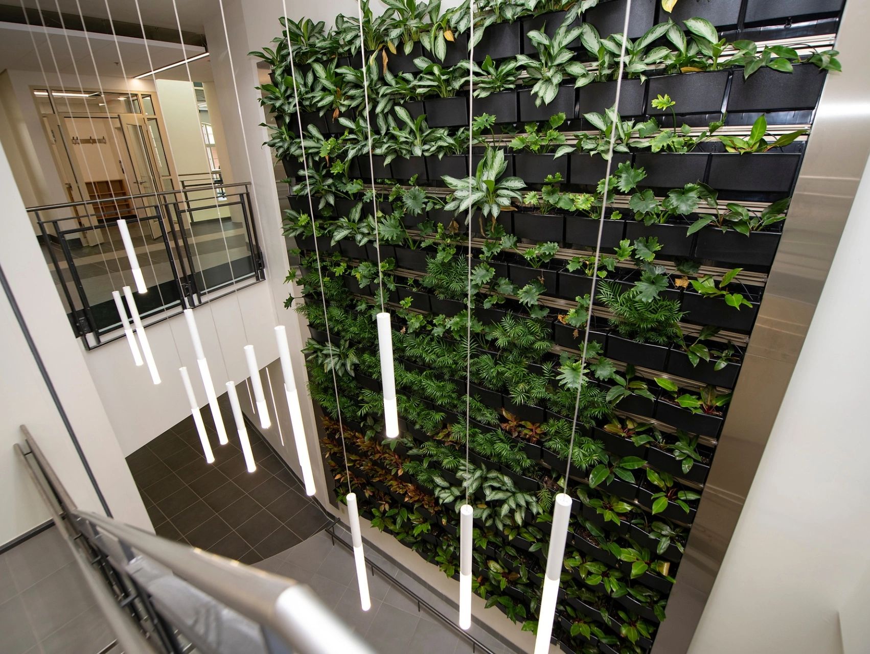 Green Wall, Bucknell University's Academic East Building installed by Kempton Floral Design