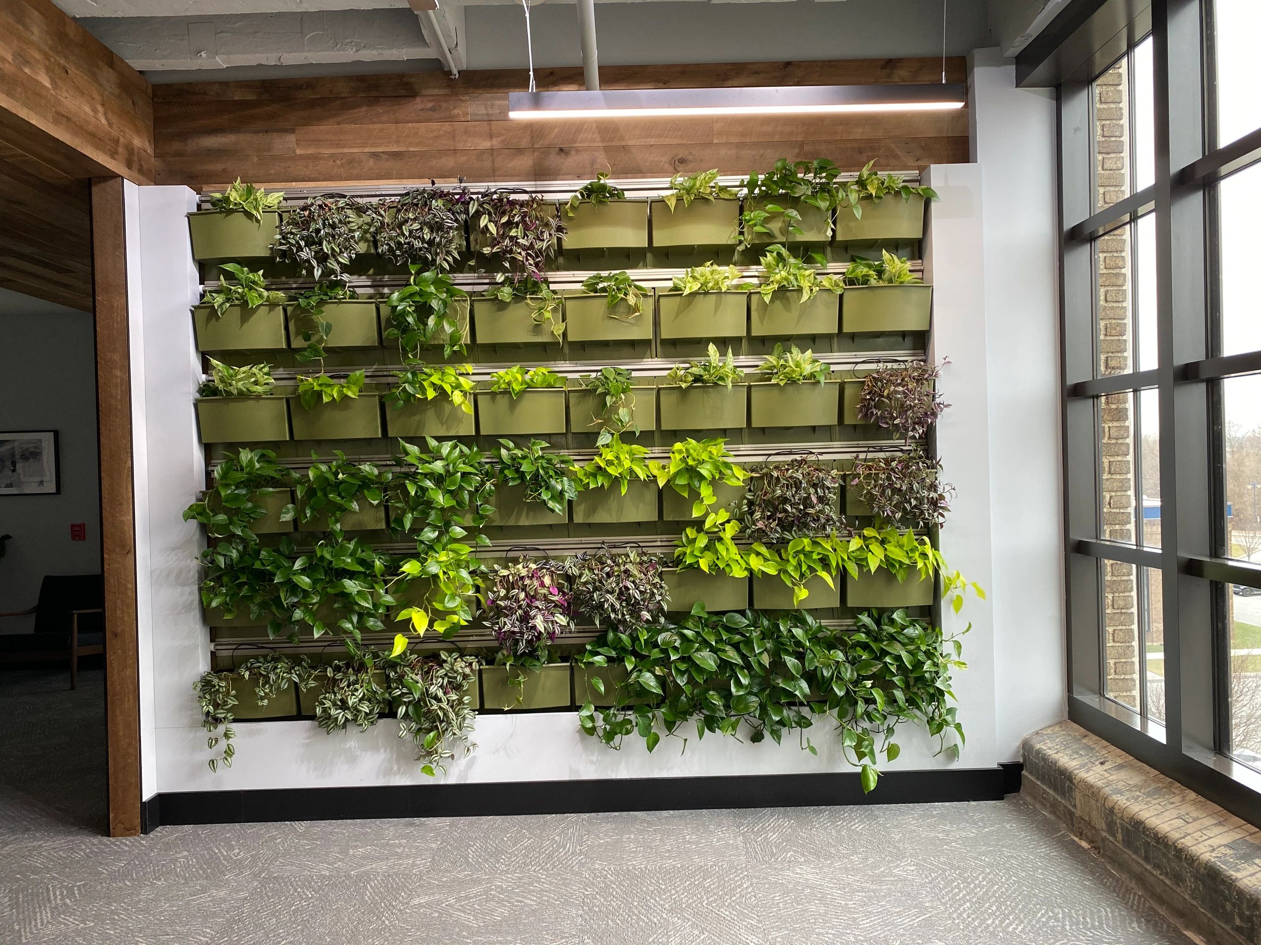 Green Wall installed by Kempton Floral Design at Caritas Construction Office, Philadelphia