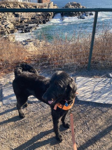 Chloe on an excursion