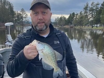 Keith Fisher - Silver Lake