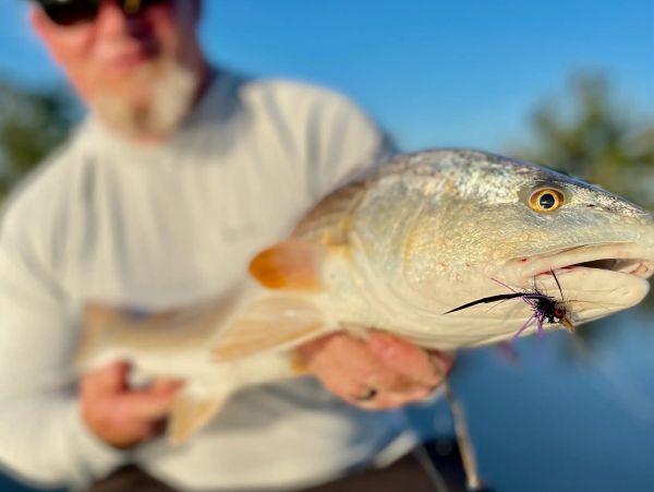 Big redfish on the fly with tightlines fishing charters. Tarpon springs