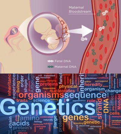 NIPT(Noninvasive prenatal testing for Down syndrome)