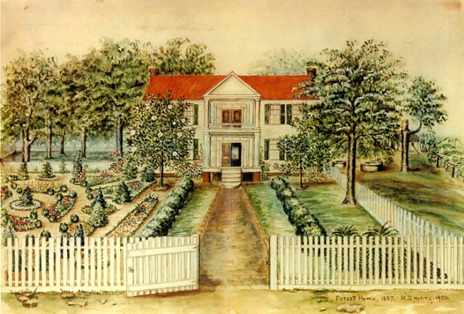 “The Lost Garden of Forest Home”
A Watercolor Illustrated and painted by M.D. Henry in 1950