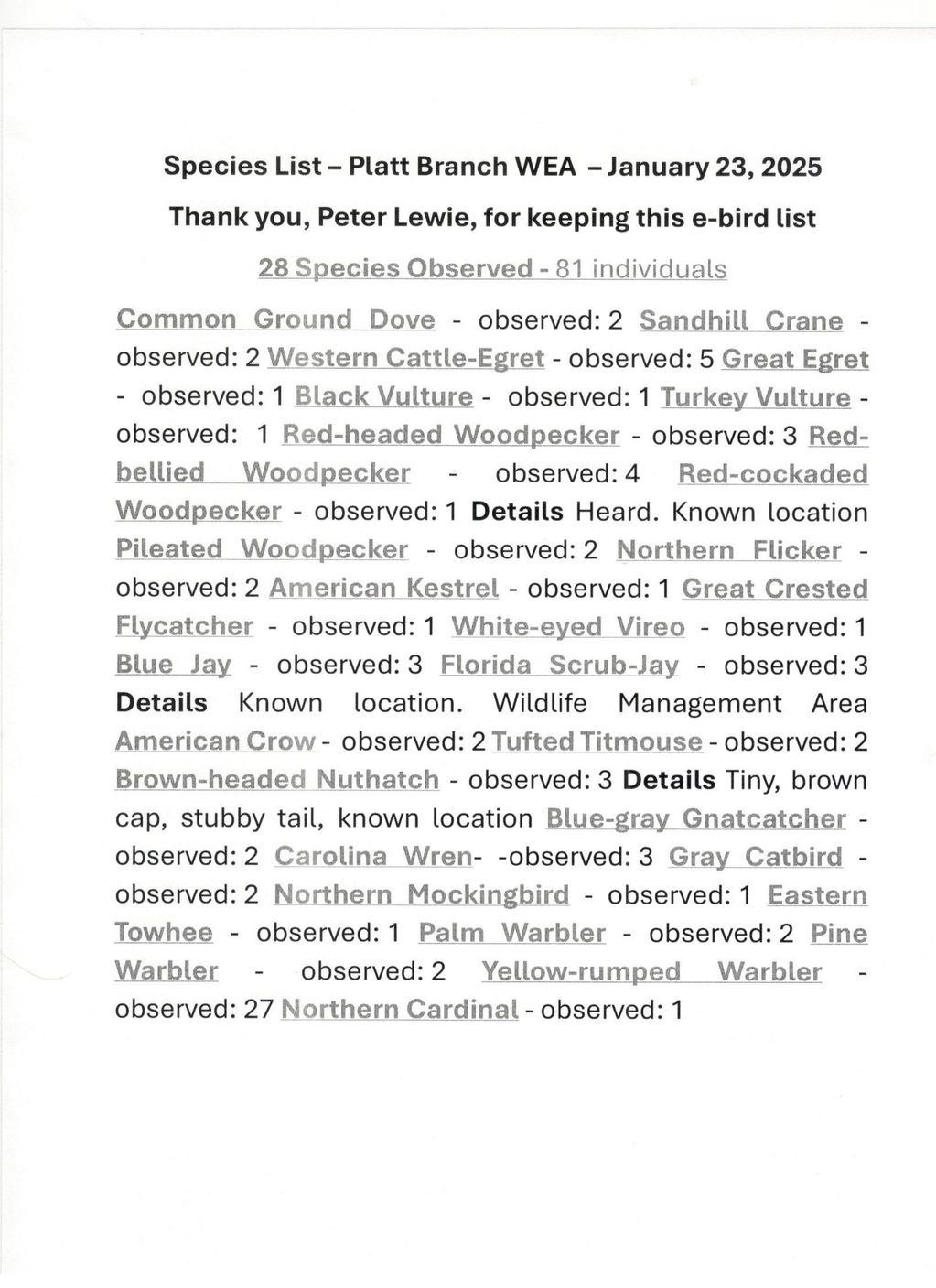 Species List with 81 individual birds of the 28 species recorded.  Thank you Peter Lewie
