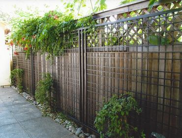 Burroughs trellis - Sacramento