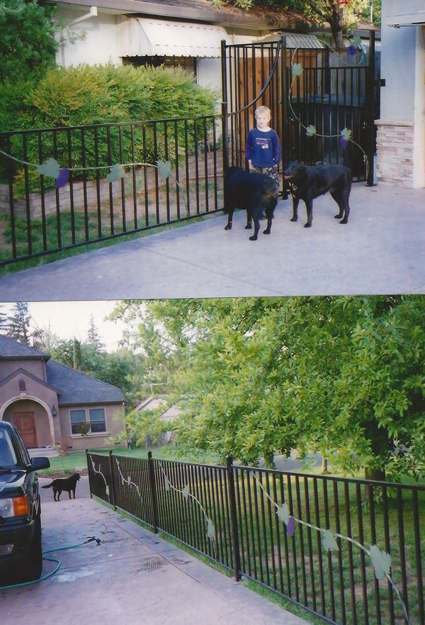 Valdez fence - Sacramento