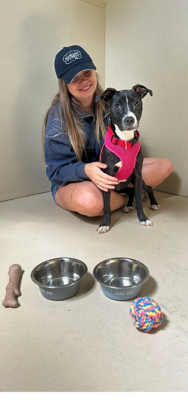 A woman smiles while sitting with her black and white dog wearing a pink harness.