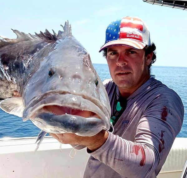 Gag Grouper Bottom Fishing