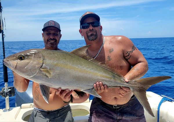 Almaco jack drift fishing