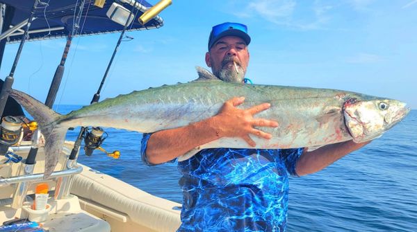 King Mackerel Drift line