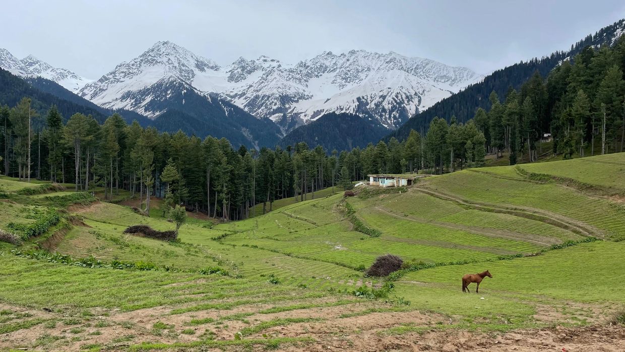 A Scenic View of a Remote Village in Swat Valley, KP, Pakistan.
Picture Credit: Dr. Mazhar Khan