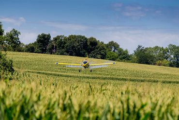 A yellow crop duster plane spraying a green field under a blue sky.