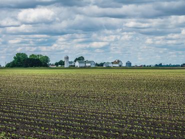 Young crops sprouting in a vast field with a farmstead in the distance under a cloudy sky.