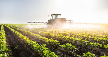 Tractor spraying crops in a sunlit field during farming.
