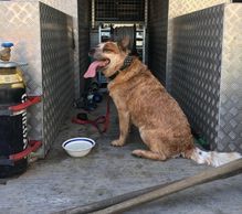 Our stock and inventory controller will let you know we are close by