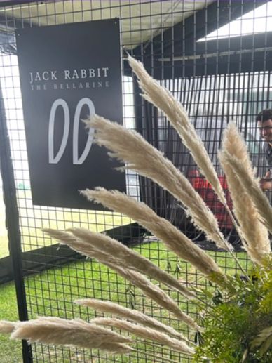 Black mesh wall
Black mesh photo backdrop