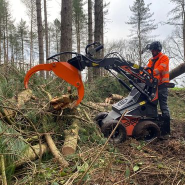 Person using a small loader to lift logs in a woodland