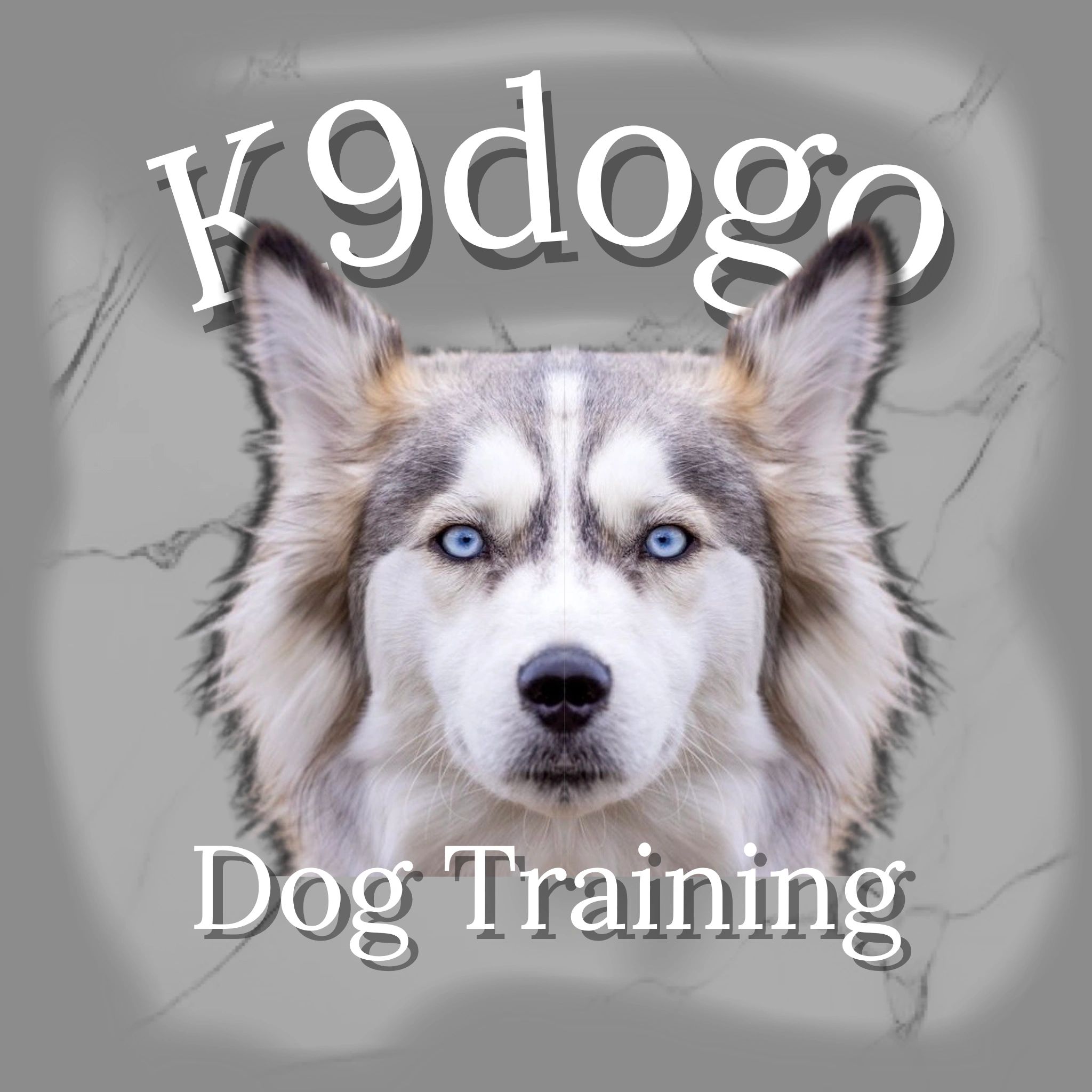 dog training, Jupiter fl