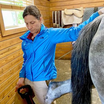 A woman in a blue jacket grooming a horse in a stable.