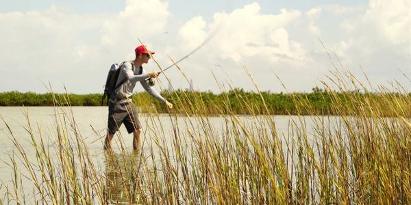 Wading the flats with a fly rod searching for black drum 
