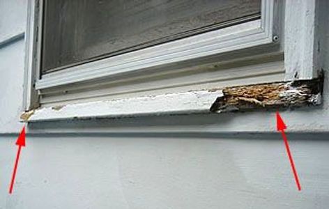 repair rotted trim