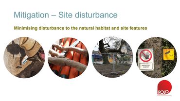 Minimising disturbance to the natural habitat and site features