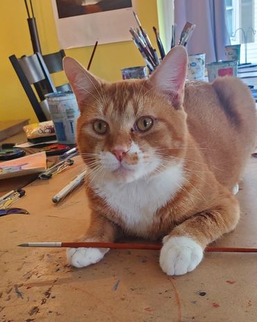 Art party at Meow Lounge