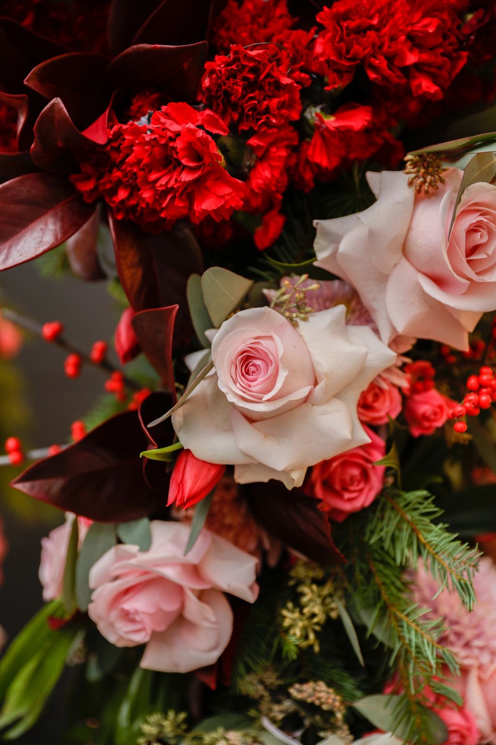 christmas flowers, pink roses, red carnations close up shot from the fresh floral photo frame