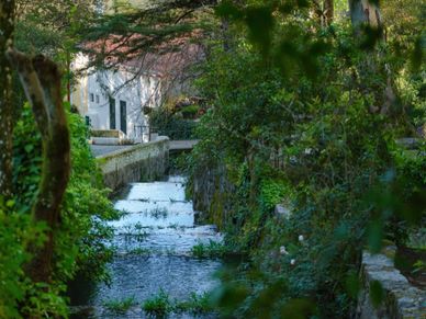 Thermal Springs of Monchique: Nature’s Healing Waters
