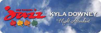 name-badge-tag-plate-engraved-engraving-color-colour-logo-magnet-pinback-id-identification